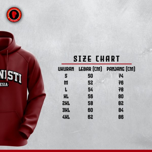 Pre Order - Hoodie MI - Image 3